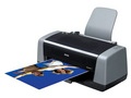 Epson b161b ͼƬ